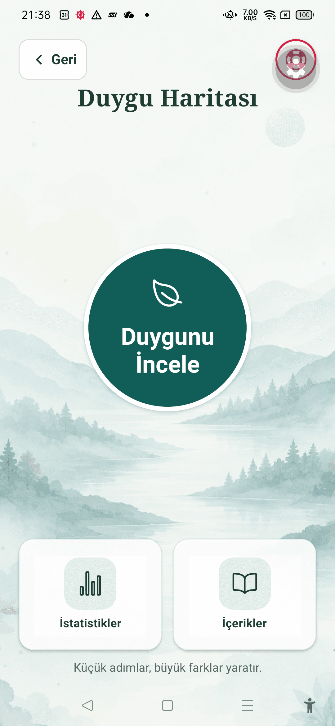 Duygu Haritası